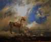 Jackson Hensley Gallery: Image